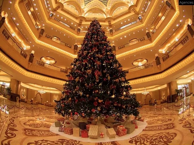 Chiêm ngưỡng những cây thông Noel đắt đỏ nhất thế giới